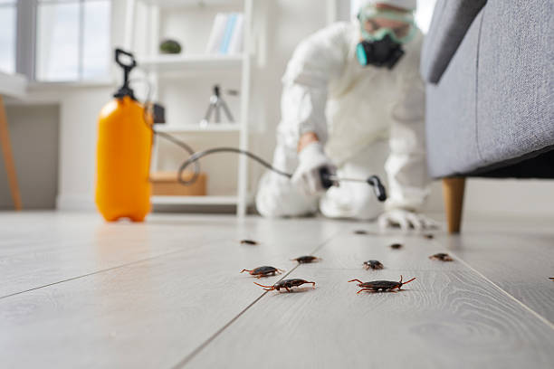 Trusted Rodent Control service in Webster Groves, MO - Nex Pest Control